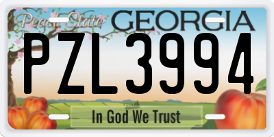 GA license plate PZL3994