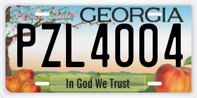 GA license plate PZL4004