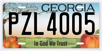 GA license plate PZL4005