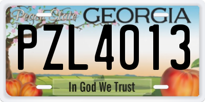 GA license plate PZL4013