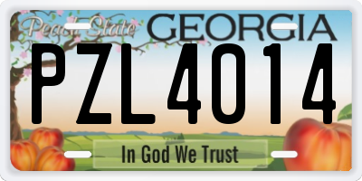 GA license plate PZL4014