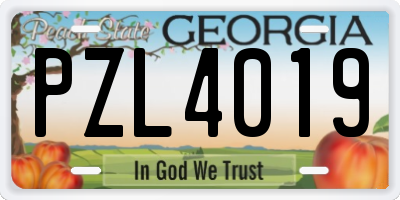 GA license plate PZL4019