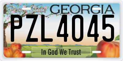 GA license plate PZL4045