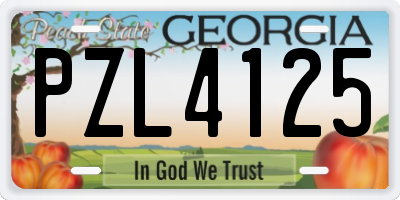GA license plate PZL4125