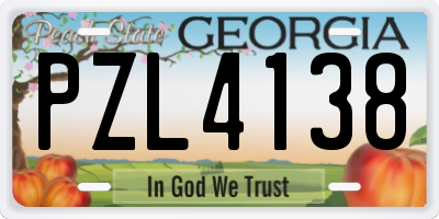 GA license plate PZL4138