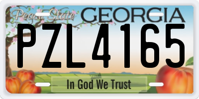GA license plate PZL4165