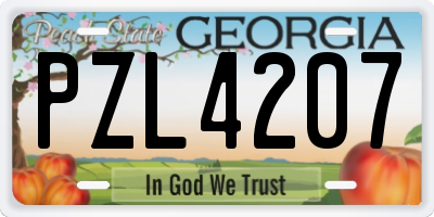 GA license plate PZL4207