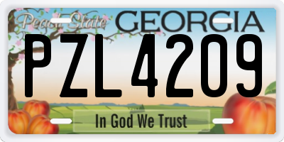 GA license plate PZL4209