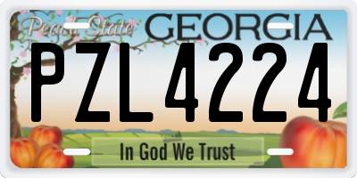 GA license plate PZL4224