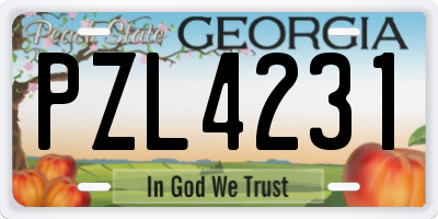 GA license plate PZL4231