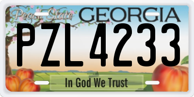 GA license plate PZL4233