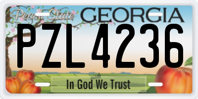 GA license plate PZL4236
