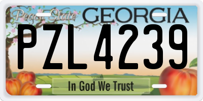 GA license plate PZL4239