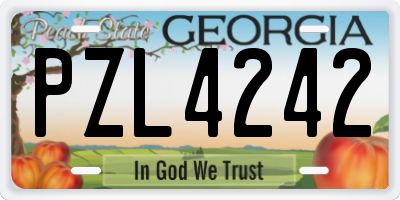 GA license plate PZL4242