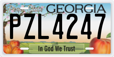 GA license plate PZL4247
