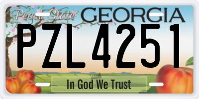 GA license plate PZL4251