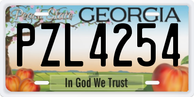 GA license plate PZL4254