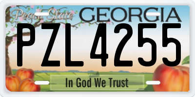 GA license plate PZL4255