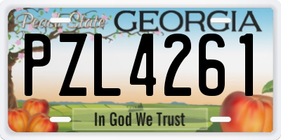 GA license plate PZL4261