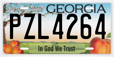 GA license plate PZL4264