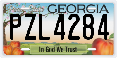 GA license plate PZL4284
