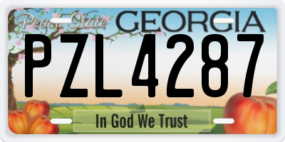 GA license plate PZL4287