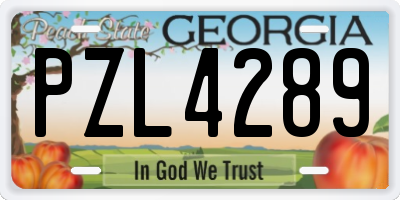 GA license plate PZL4289