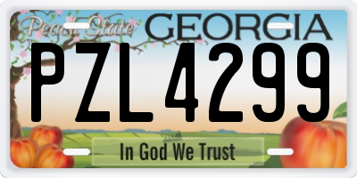 GA license plate PZL4299