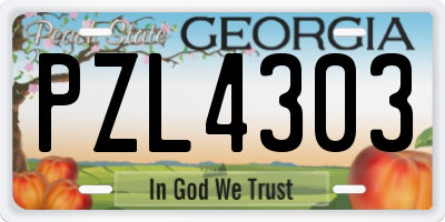 GA license plate PZL4303