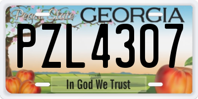 GA license plate PZL4307