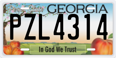 GA license plate PZL4314