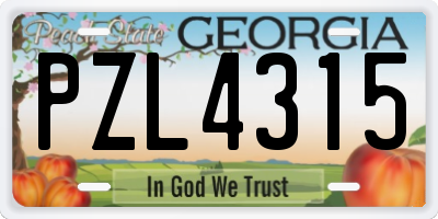 GA license plate PZL4315