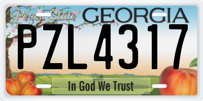 GA license plate PZL4317