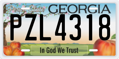 GA license plate PZL4318
