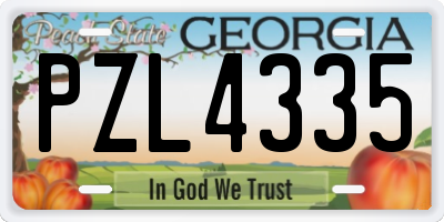 GA license plate PZL4335