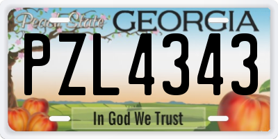GA license plate PZL4343