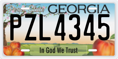 GA license plate PZL4345