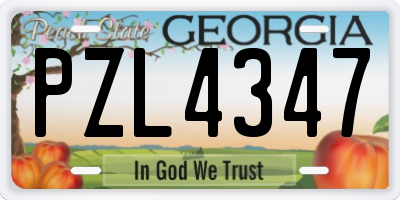 GA license plate PZL4347