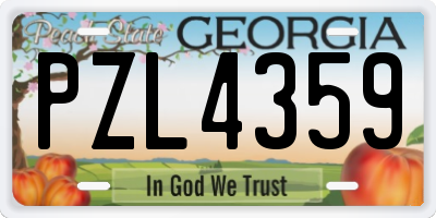 GA license plate PZL4359