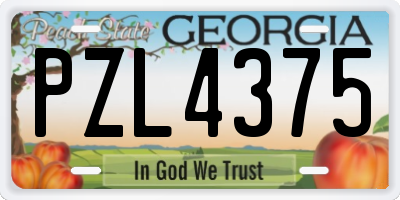 GA license plate PZL4375