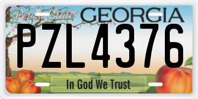 GA license plate PZL4376