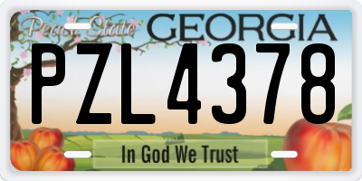 GA license plate PZL4378