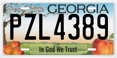 GA license plate PZL4389