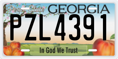 GA license plate PZL4391