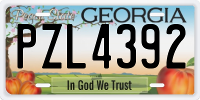 GA license plate PZL4392