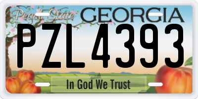 GA license plate PZL4393