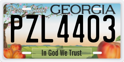 GA license plate PZL4403