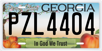 GA license plate PZL4404