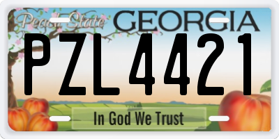 GA license plate PZL4421