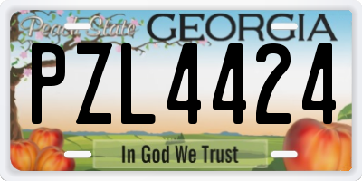 GA license plate PZL4424